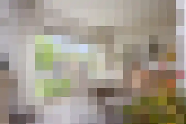 Rhenendael 140 Rhenen thumbnail 9