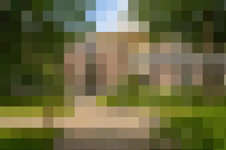 Rhenendael 65 Rhenen