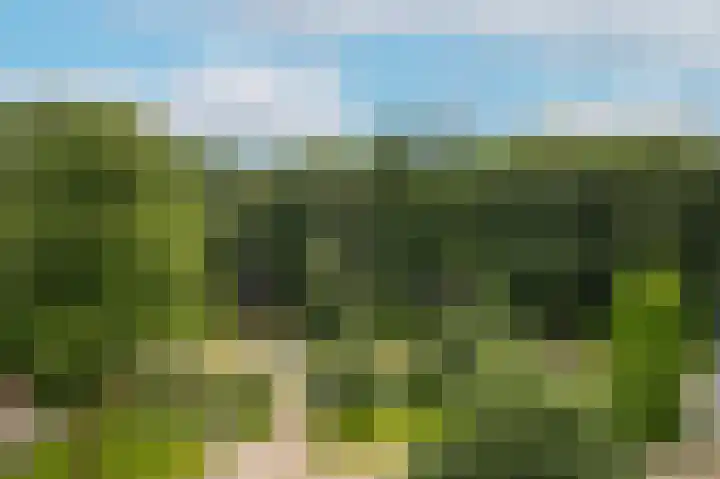 Rhenendael 65 Rhenen thumbnail 31