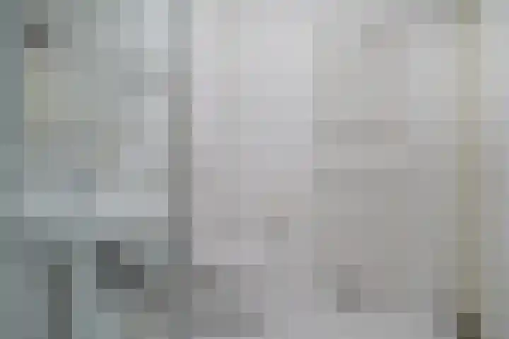 Rhenendael 65 Rhenen thumbnail 33
