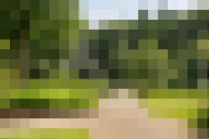 Rhenendael 65 Rhenen thumbnail 4