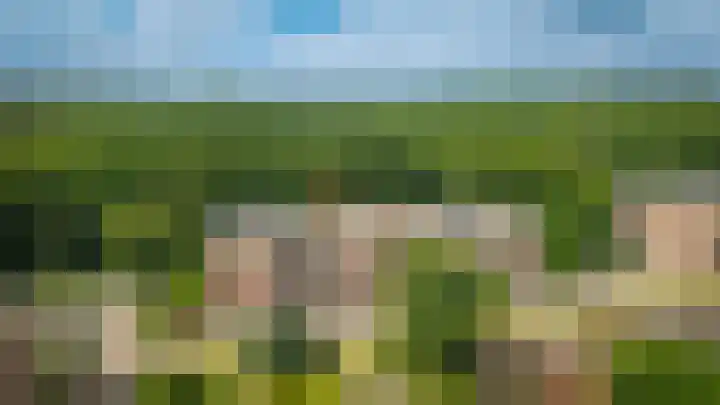 Rhenendael 65 Rhenen thumbnail 42