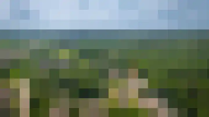 Rhenendael 65 Rhenen thumbnail 46