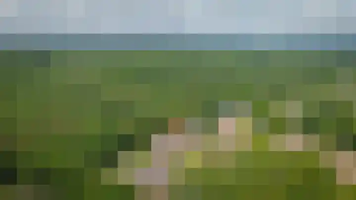 Rhenendael 65 Rhenen thumbnail 47