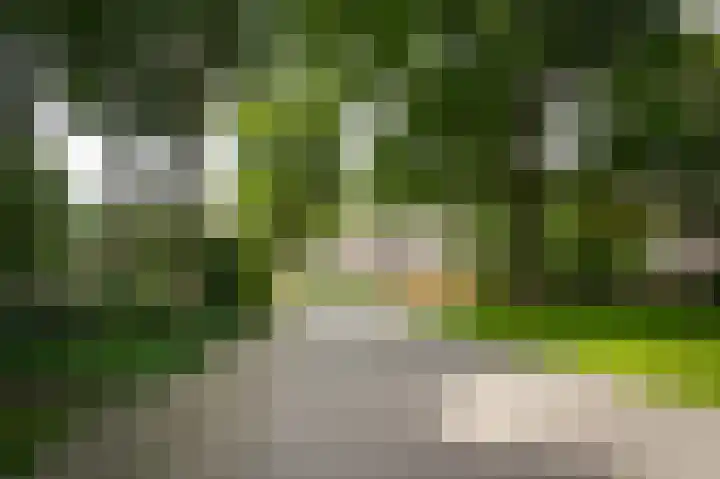 Rhenendael 65 Rhenen thumbnail 5
