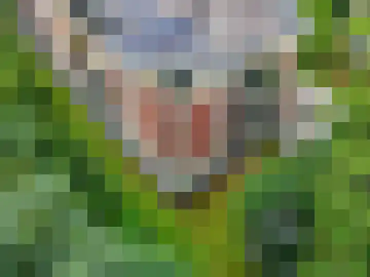 Rhenendael 75 Rhenen