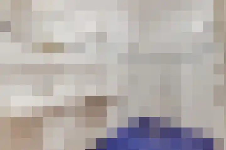 Rhenendael 75 Rhenen thumbnail 22