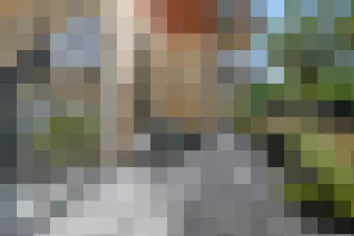 Rhenendael 75 Rhenen thumbnail 26