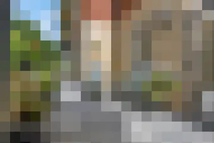 Rhenendael 75 Rhenen thumbnail 27