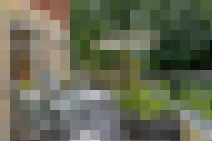 Rhenendael 75 Rhenen thumbnail 28