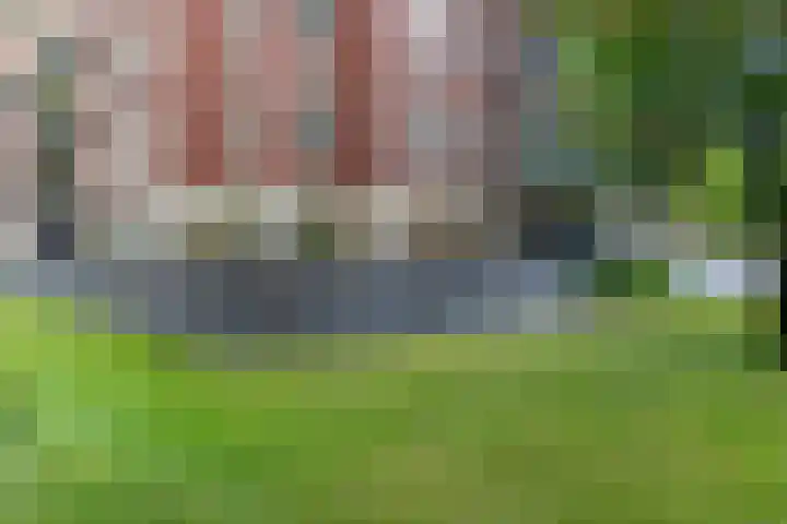 Rhenendael 75 Rhenen thumbnail 33