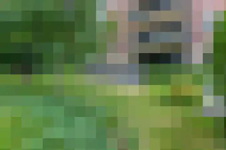 Rhenendael 75 Rhenen thumbnail 36