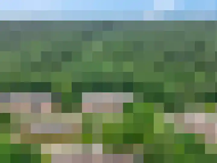 Rhenendael 75 Rhenen thumbnail 43