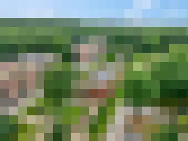 Rhenendael 75 Rhenen thumbnail 44