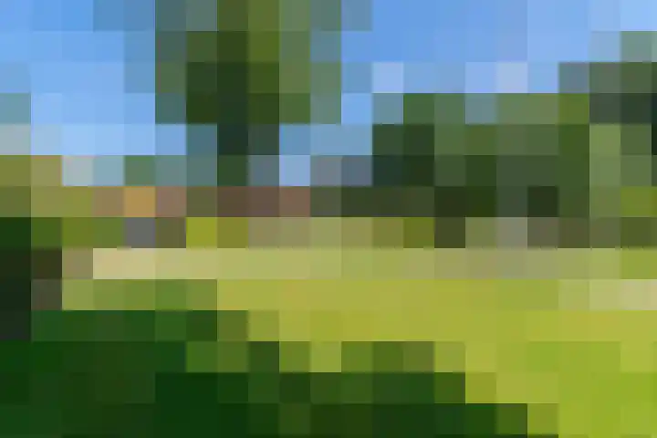 Rhenendael 75 Rhenen thumbnail 46