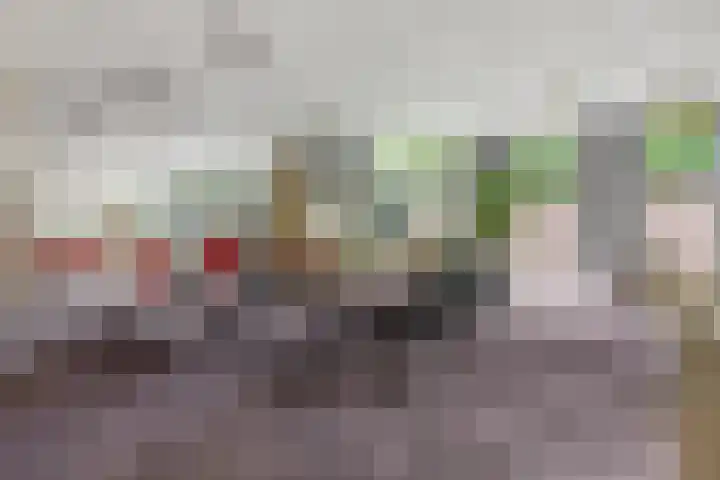 Rhenendael 75 Rhenen thumbnail 52