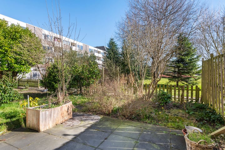 Rhenenhof 8 in Amsterdam foto