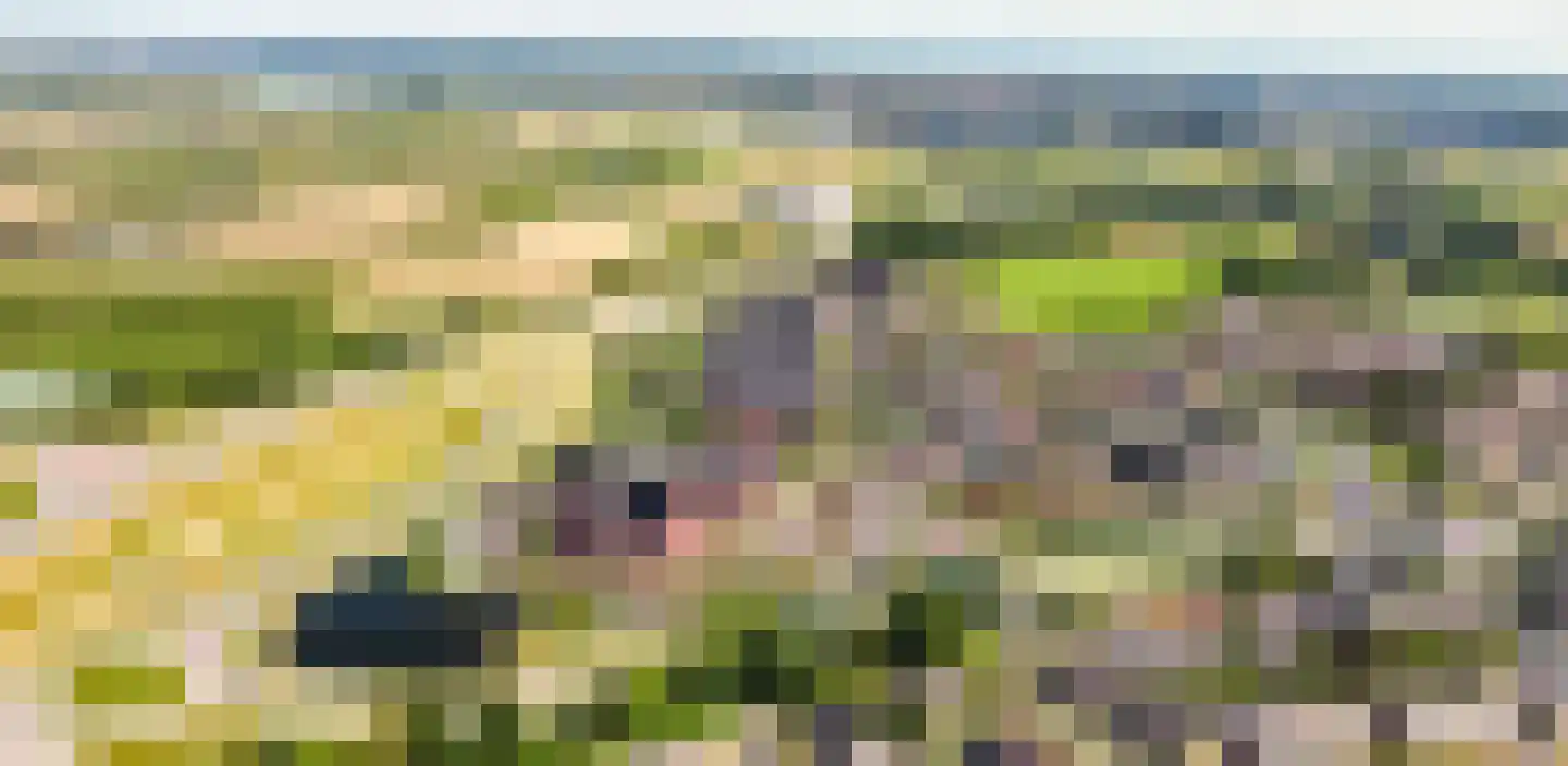Rhenenseweg 3 Kesteren thumbnail 6