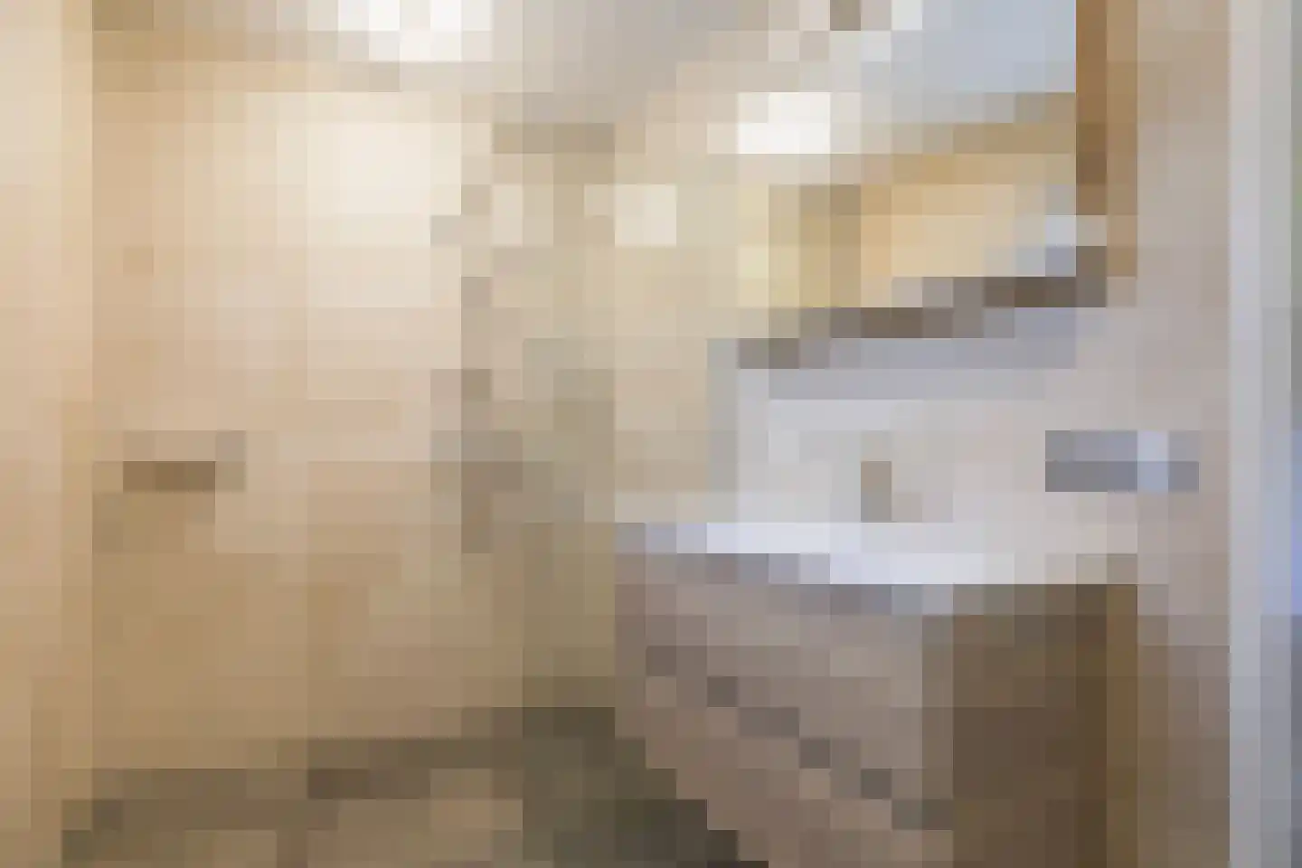 Rhienderstein 15 Ugchelen thumbnail 18