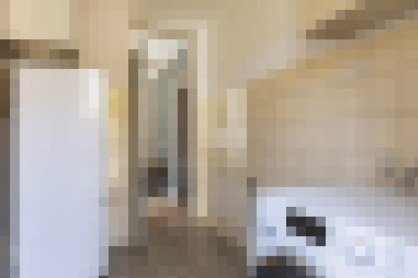 Rhienderstein 15 Ugchelen thumbnail 21