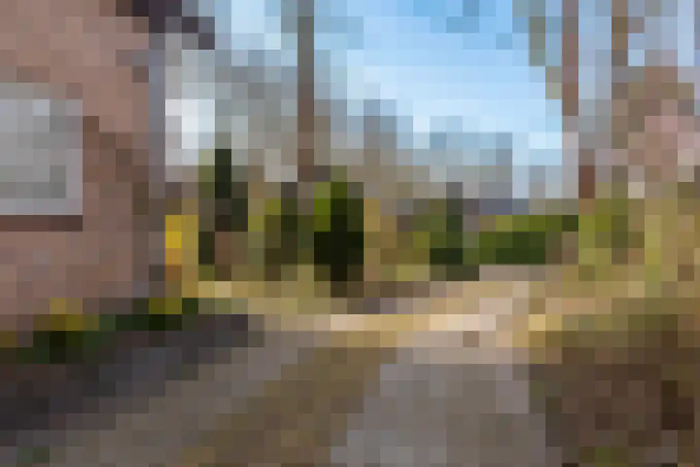 Rhienderstein 15 Ugchelen thumbnail 30