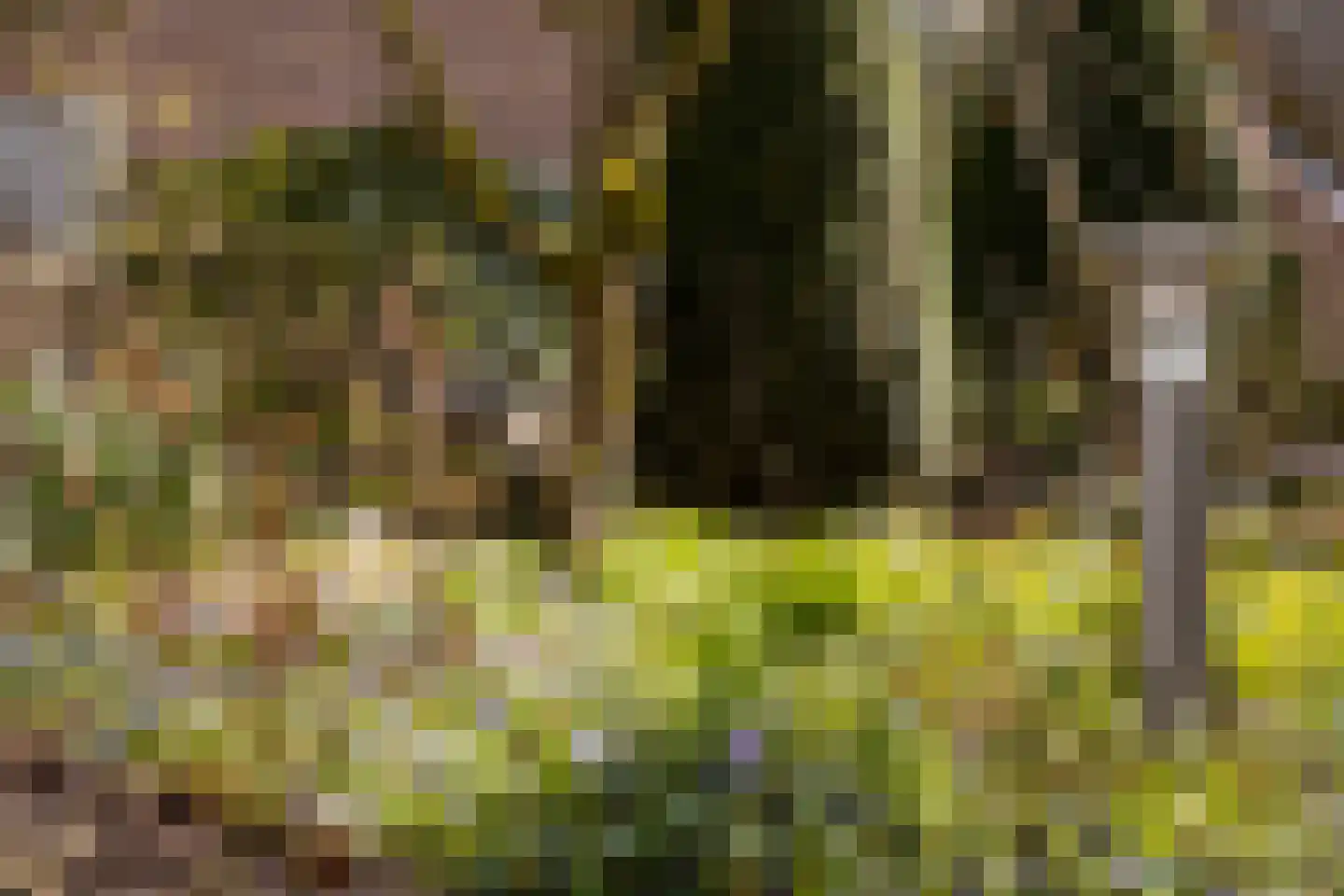 Rhienderstein 15 Ugchelen thumbnail 34