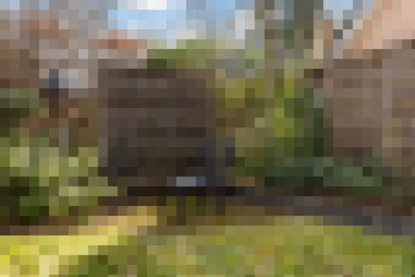 Rhienderstein 15 Ugchelen thumbnail 35