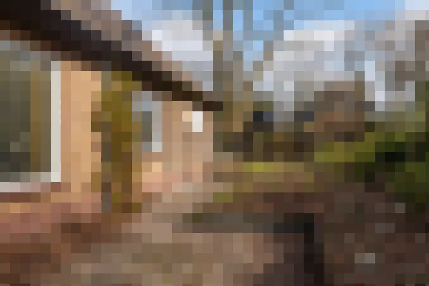Rhienderstein 15 Ugchelen thumbnail 36