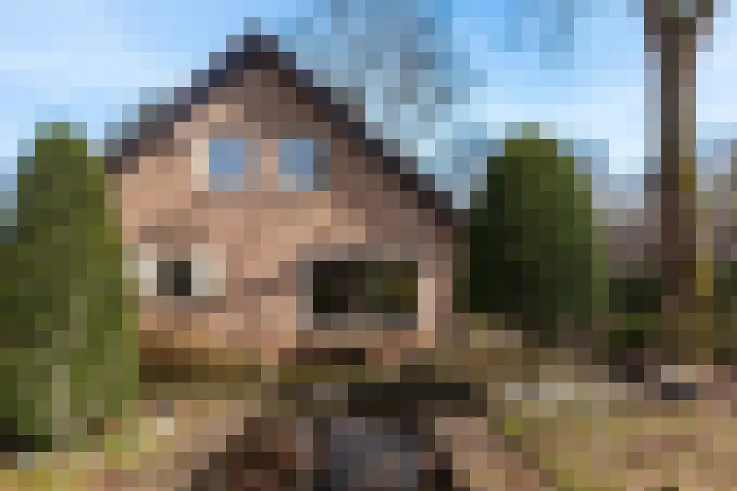 Rhienderstein 15 Ugchelen thumbnail 37