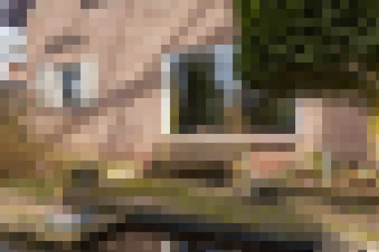 Rhienderstein 15 Ugchelen thumbnail 38