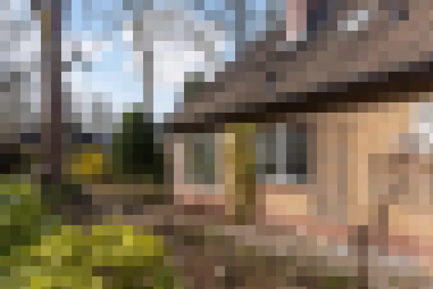 Rhienderstein 15 Ugchelen thumbnail 39