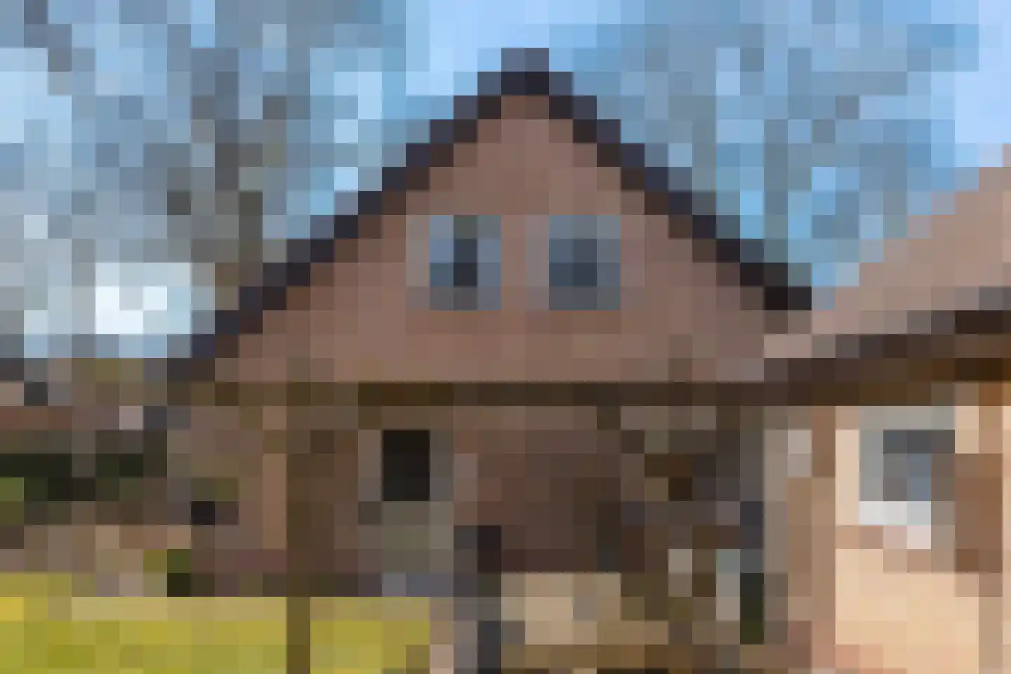 Rhienderstein 15 Ugchelen thumbnail 4