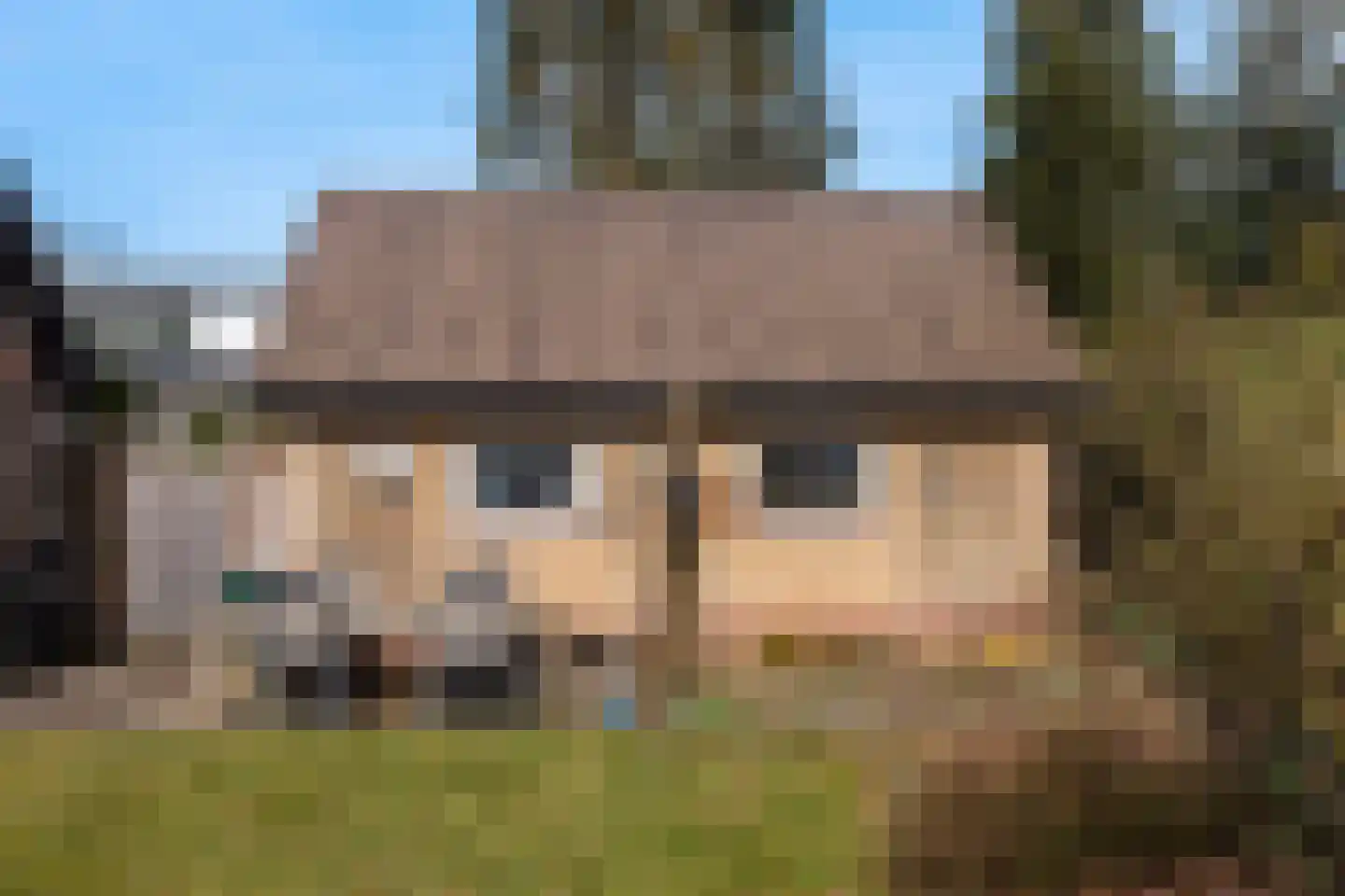 Rhienderstein 15 Ugchelen thumbnail 40