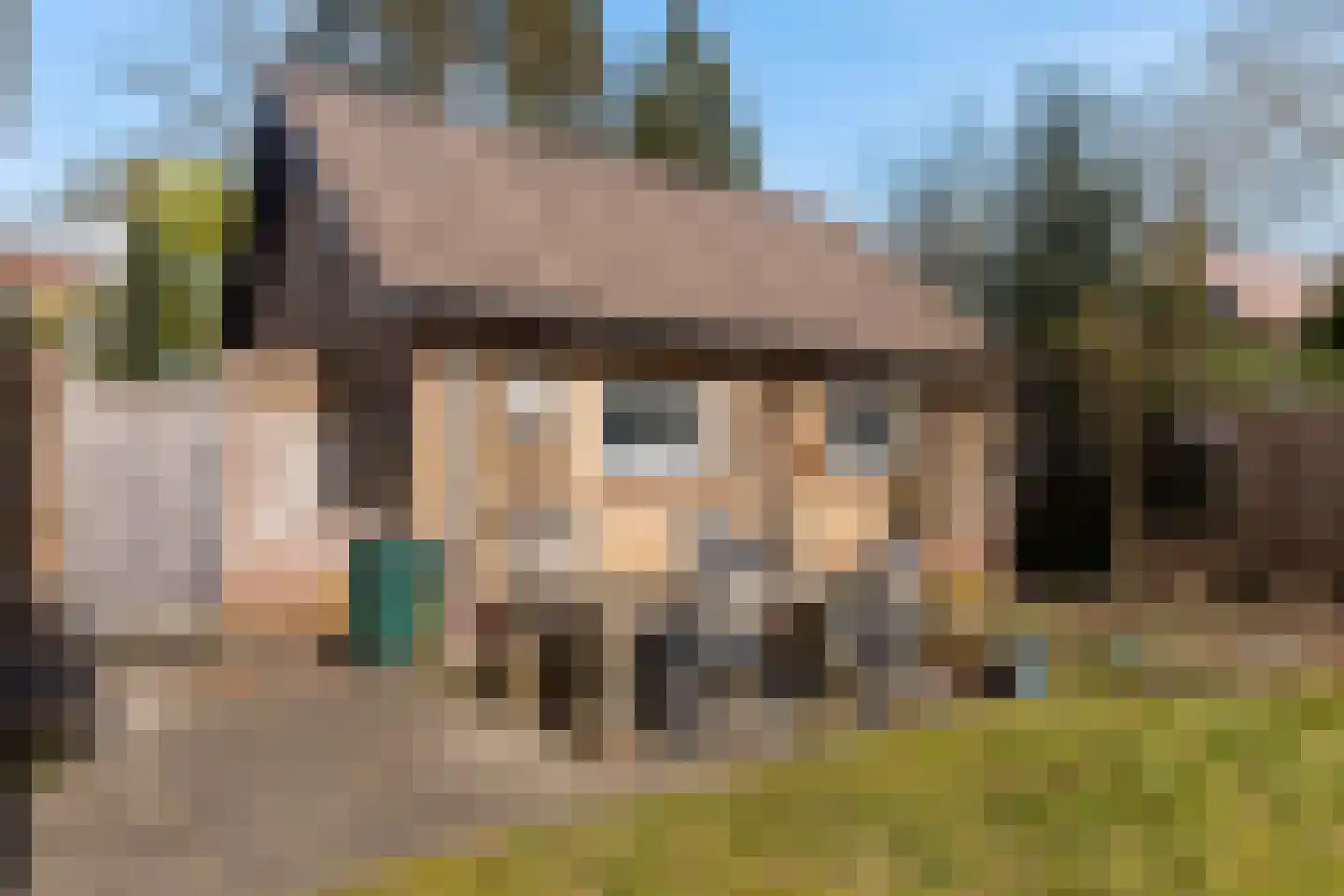 Rhienderstein 15 Ugchelen thumbnail 41