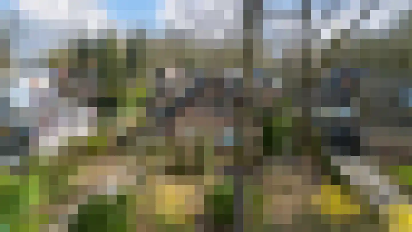Rhienderstein 15 Ugchelen thumbnail 44