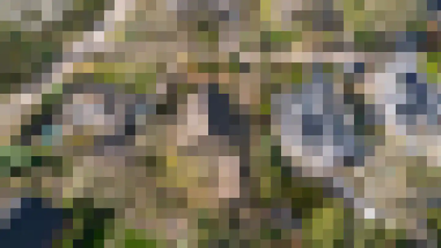 Rhienderstein 15 Ugchelen thumbnail 46