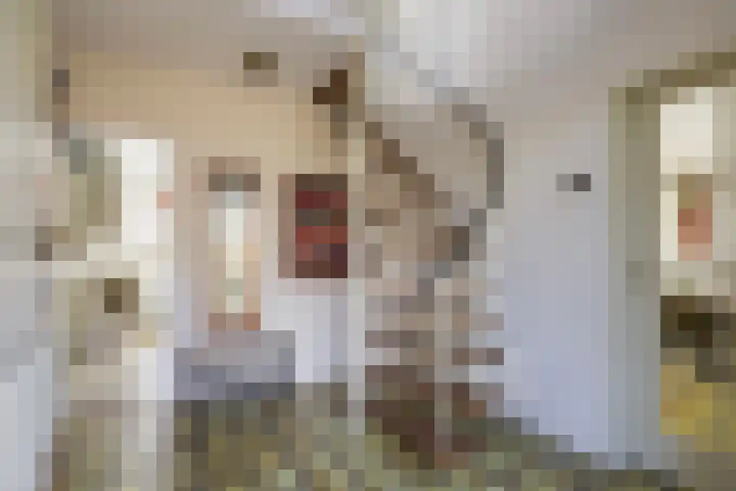 Rhienderstein 15 Ugchelen thumbnail 6