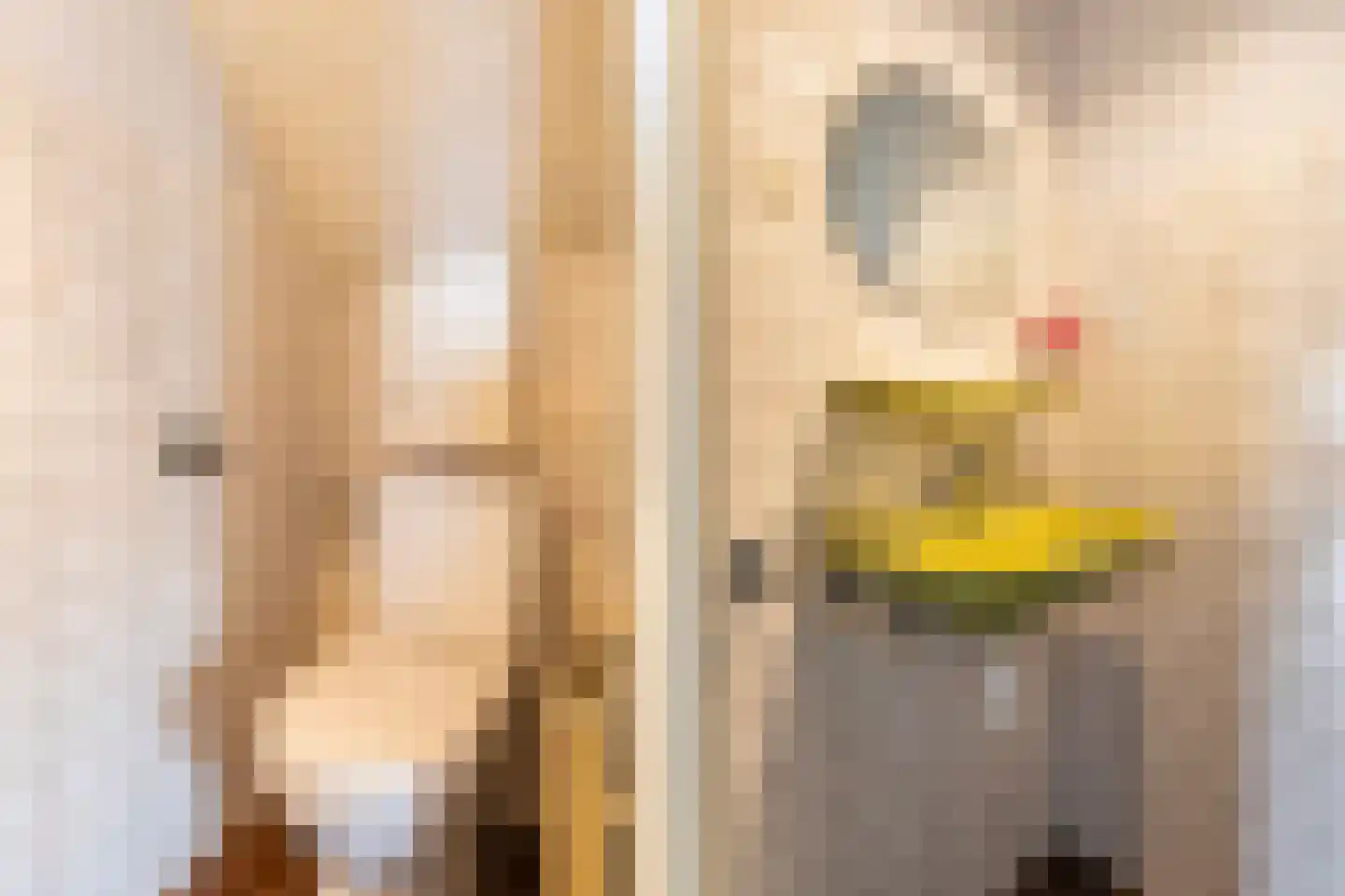 Rhienderstein 15 Ugchelen thumbnail 8