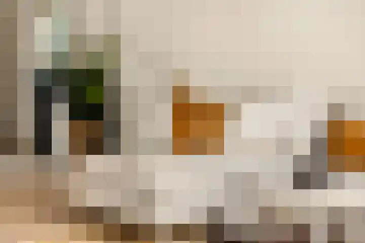Rhijnvis Feithstraat 41 2 Amsterdam thumbnail 11