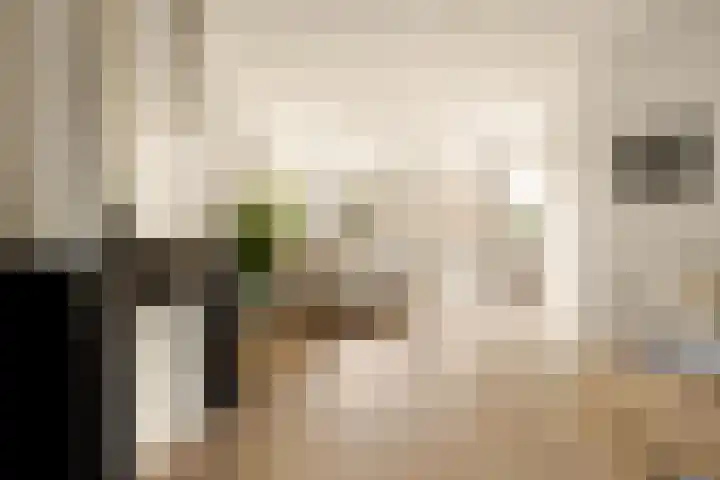 Rhijnvis Feithstraat 41 2 Amsterdam thumbnail 4