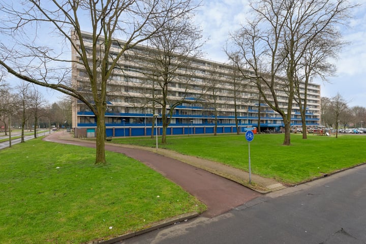 Rhodosdreef 146 in Utrecht foto