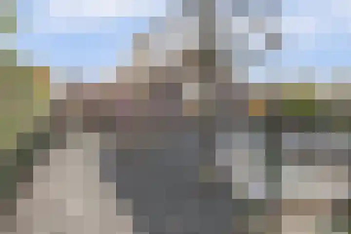 Rhônepad 15 Assen thumbnail 10