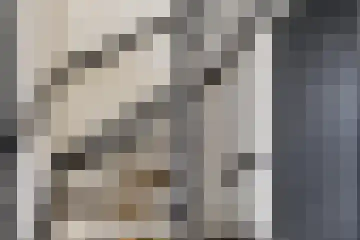 Rialen 4 Assendelft thumbnail 10