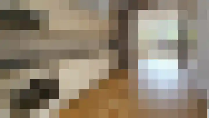 Rialen 4 Assendelft thumbnail 12