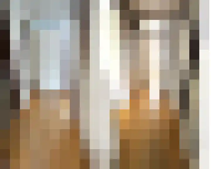 Rialen 4 Assendelft thumbnail 17