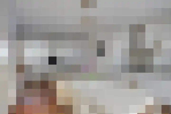 Rialen 4 Assendelft thumbnail 20