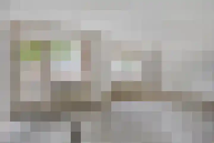 Rialen 4 Assendelft thumbnail 24