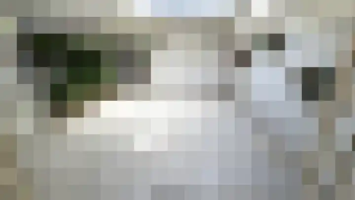 Rialen 4 Assendelft thumbnail 33