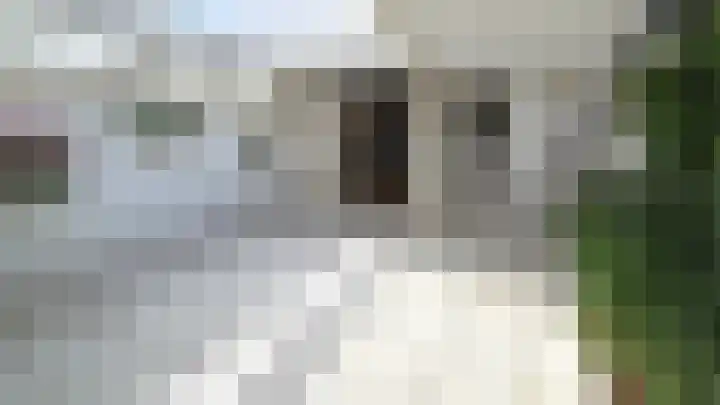 Rialen 4 Assendelft thumbnail 34