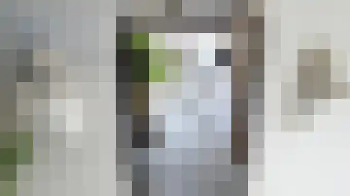 Rialen 4 Assendelft thumbnail 35